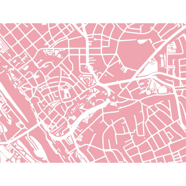 Bonn Karte. rose | 30 x 21 cm