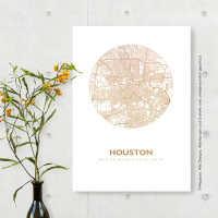 Houston TX map circle