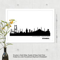Istanbul Skyline Print Black & White