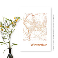 Winterthur Karte. kupfer | A3 eckig